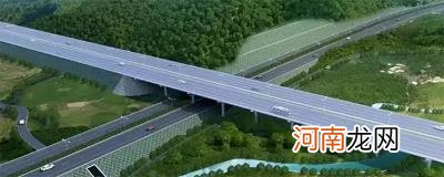 s61是什么高速公路