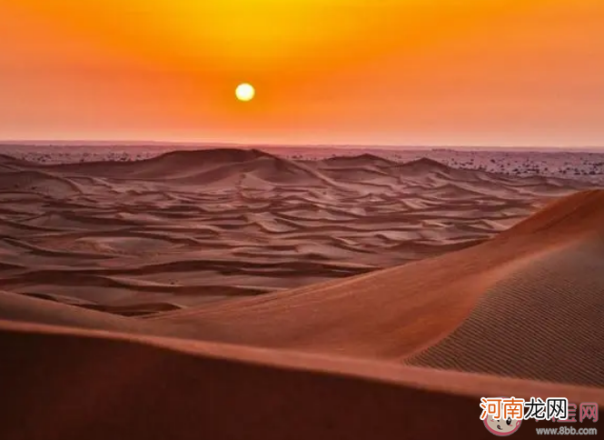 沙漠|沙漠里的沙子能直接用来建造房屋吗 蚂蚁庄园12月15日答案