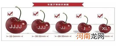 3jd代表什么意思