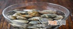 蛤蜊吐沙快的方法