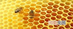 发现组成蜂巢底盘的什么形状