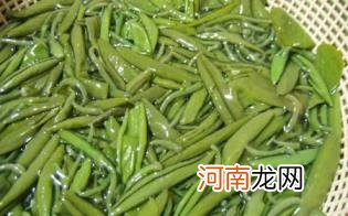 莼菜的食用注意