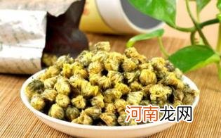 昆仑胎菊的功效与作用及禁忌