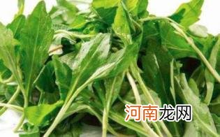 马兰头的食用禁忌