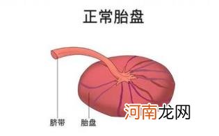 胎盘厚度的标准