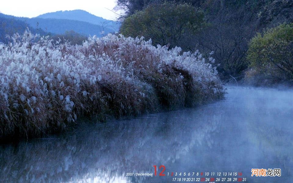 麦冬的医疗作用有哪些 润肺止咳的草药