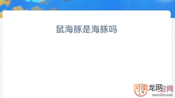 鼠海豚是海豚|鼠海豚是海豚吗 神奇海洋12月27日答案