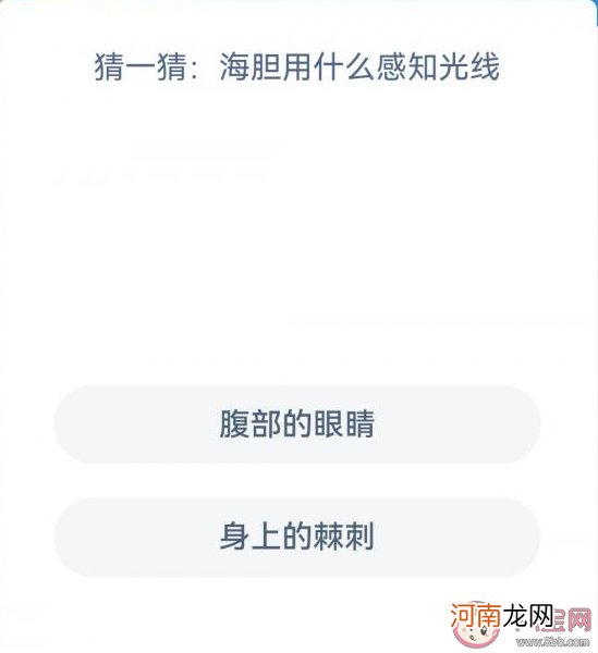 海胆|海胆用什么感知光线 蚂蚁森林神奇海洋12月28日答案