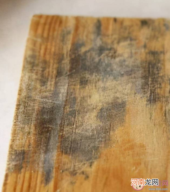 菜板|菜板发霉怎么办 如何清洁砧板霉菌